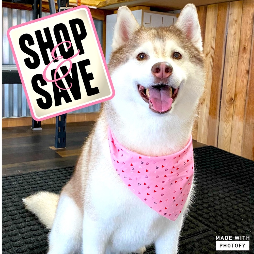 Please shop my Mama's closet!! Posh Ambassador, fast shipper!